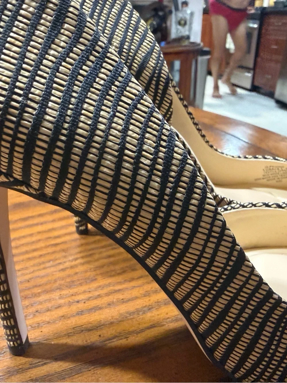 Striped Black and Nude Pointed Toe Stiletto Heels - Women